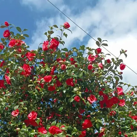 Σπίτι διακοπών Rifugio Del Quadraro